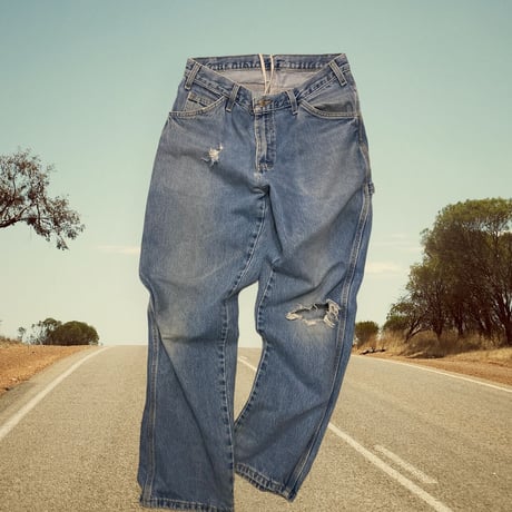 [USED] Dickies 紐入れ DENIM PAINTER PANTS  !DAMEGE!