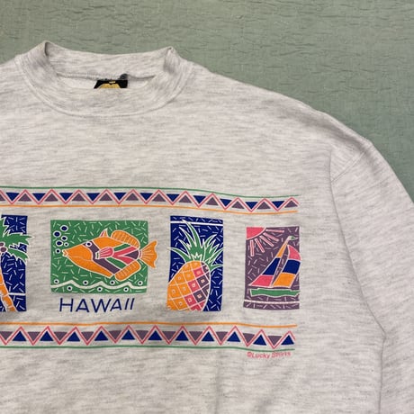 [USED] 80's "HAWAII" SWEAT🐠