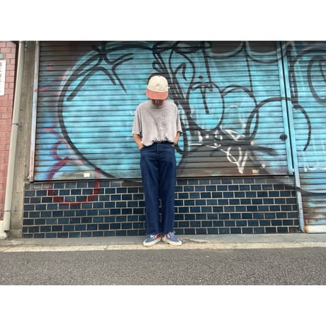 [USED] Dickies DENIM  W30 cutoff