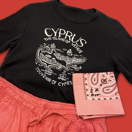 [USED] Euro vintage スーベニアTee