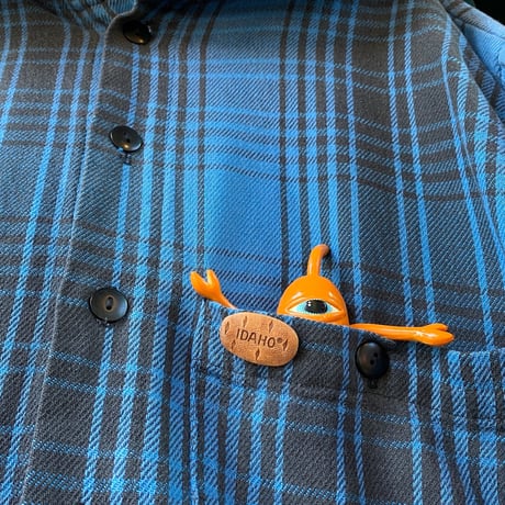 [USED] IDAHO POTATO PINS