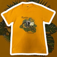 [USED] モンキーtee