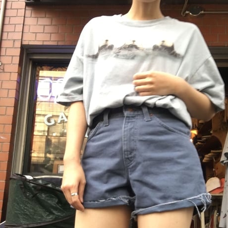 [USED] THE MOUNTAIN ラッコフォトtee