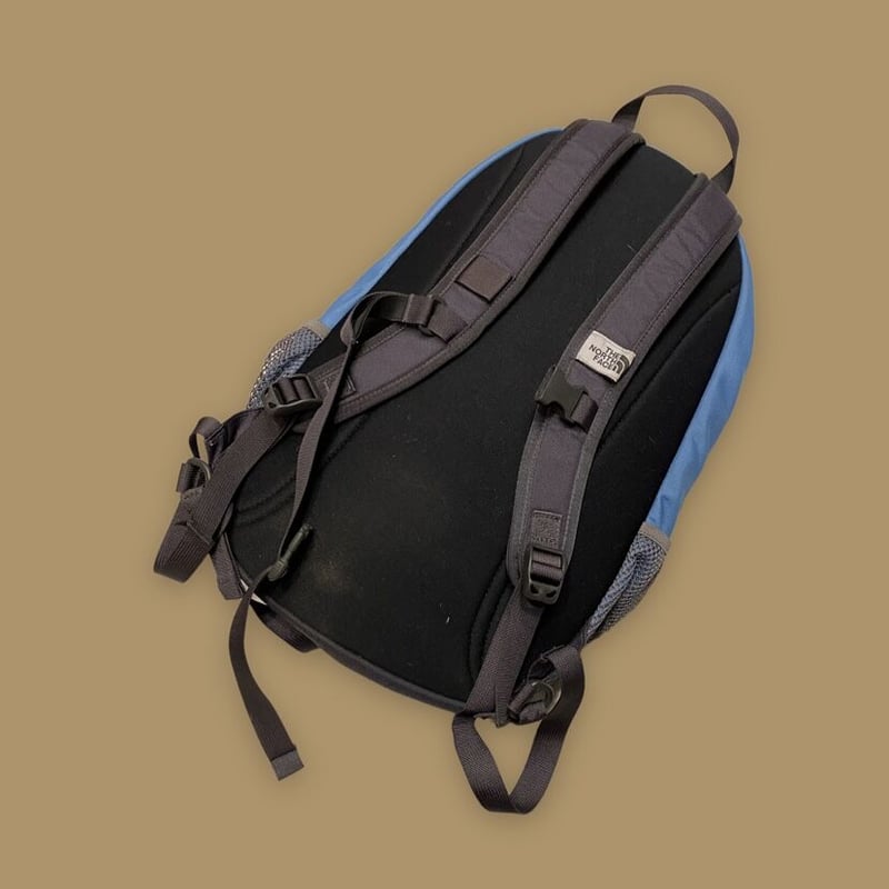 The north face online back bag