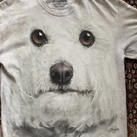 [USED] "the mountain"  ANIMAL Tee