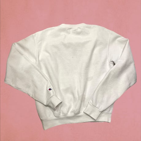 [USED]champion tennessee wesleoan univ sweat