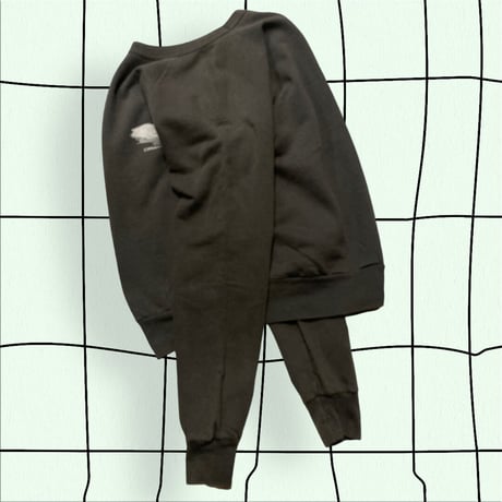[USED]DUCK ラグランSWEAT🦆
