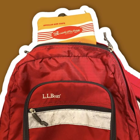 [USED]  L.L.Bean🌶NYLON BACK PACK