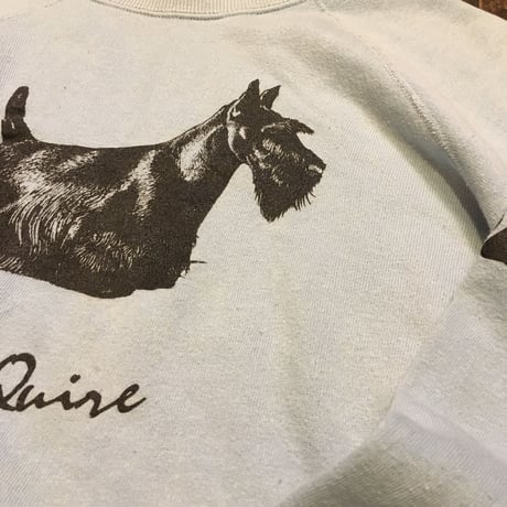 [USED] DOG 🐾SWEAT