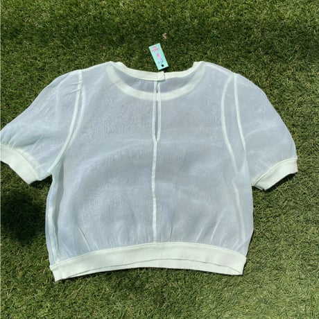 [USED] MINT シースルー TOPS♡
