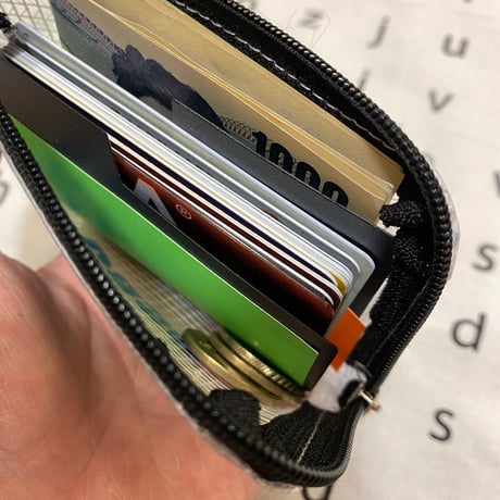 [CASE by CASE] CARD CACE