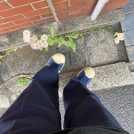 [USED] adidas SUPER STAR HEMP??