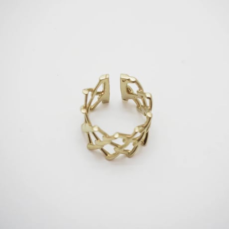 [Aquvii] FENCE RING