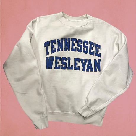 [USED]champion tennessee wesleoan univ sweat