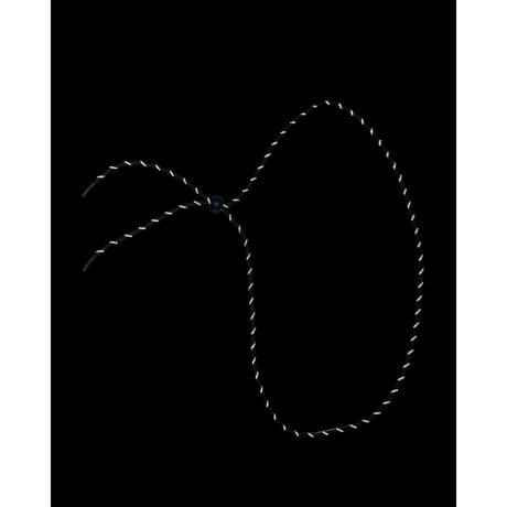 [GARDENworks] リフレクター パラコード BELT