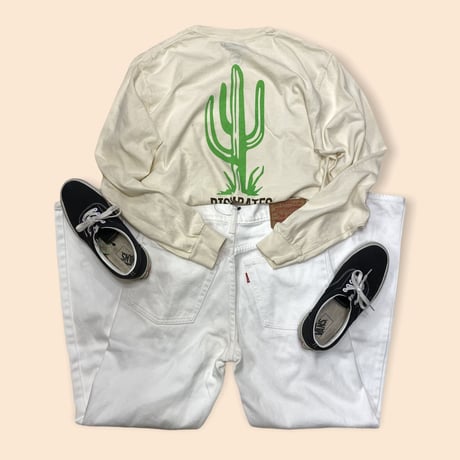 [USED] Levis 626 WHITE DENIM！