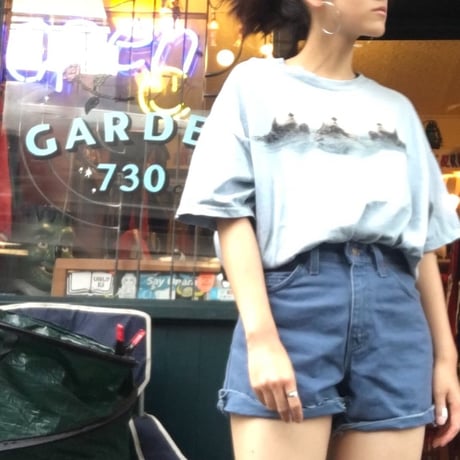 [USED] THE MOUNTAIN ラッコフォトtee