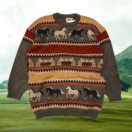 [USED] 🐴🐴🐴WOOLセーター