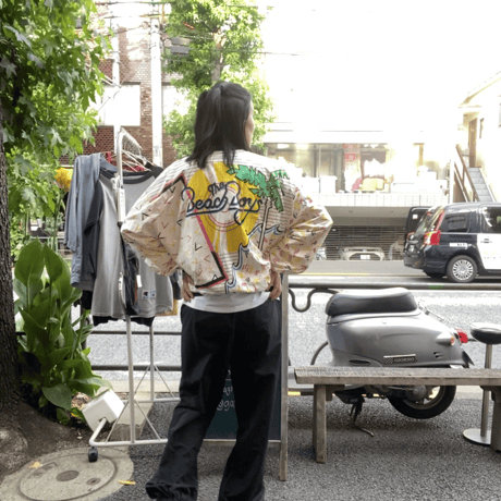 [USED] The Beach Boys vintage  PAPER JACKET