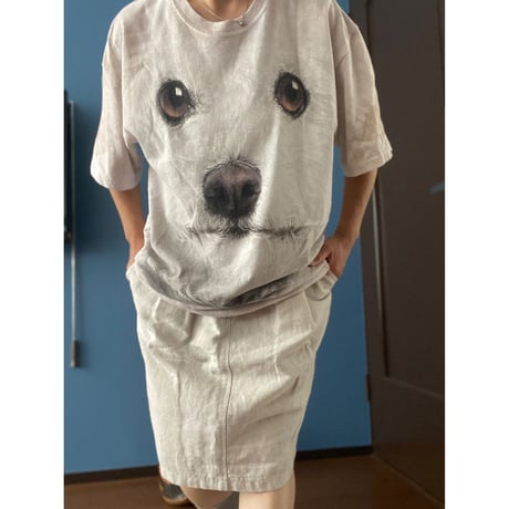 [USED] "the mountain"  ANIMAL Tee