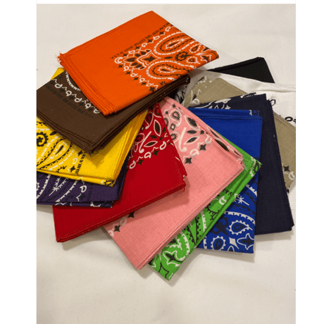 [SELECT] ペイズリーBANDANA  made in USA.