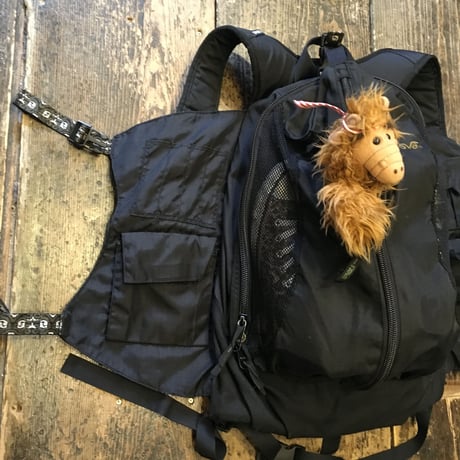 [USED]  珍品！00's OLD TEVA BACK PACK