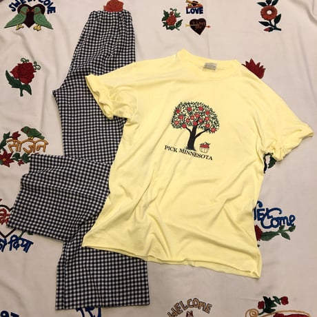 [USED] VINTAGE "MINNESOTA" Tee 🍎