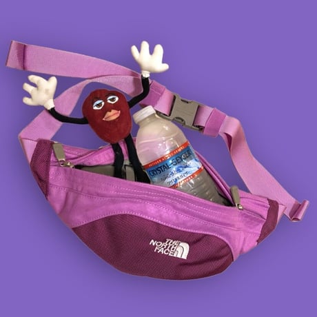 [USED] THE NORTH FACE 🍇ウエストPOUCH