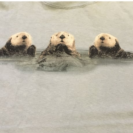 [USED] THE MOUNTAIN ラッコフォトtee