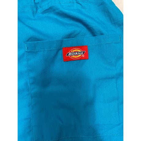 [USED]GOOD COLOR! Dickiesメディカルパンツ