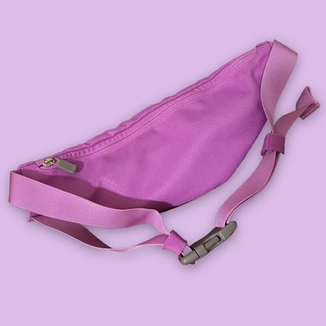[USED] THE NORTH FACE 🍇ウエストPOUCH