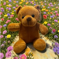 [USED] くまさんキーホルダー🧸