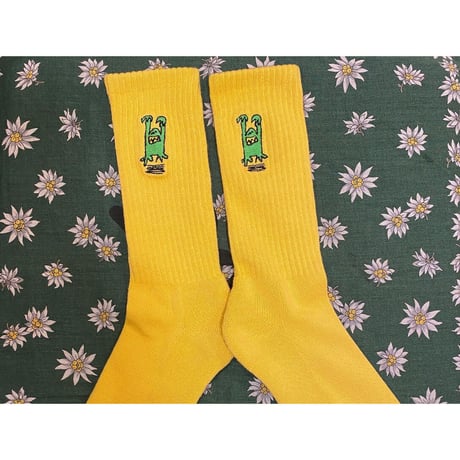 [FOUNDATION] SOCKS