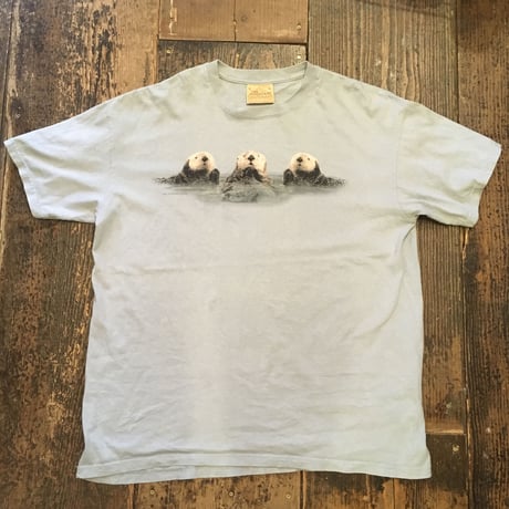 [USED] THE MOUNTAIN ラッコフォトtee