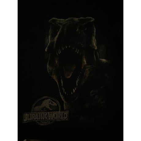 [USED] JURASSIC WORLD Tee / GOOD USED