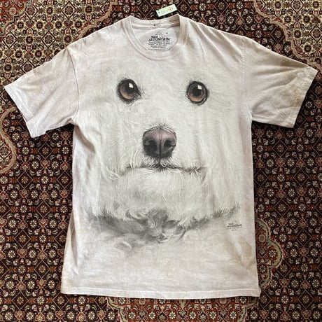 [USED] "the mountain"  ANIMAL Tee