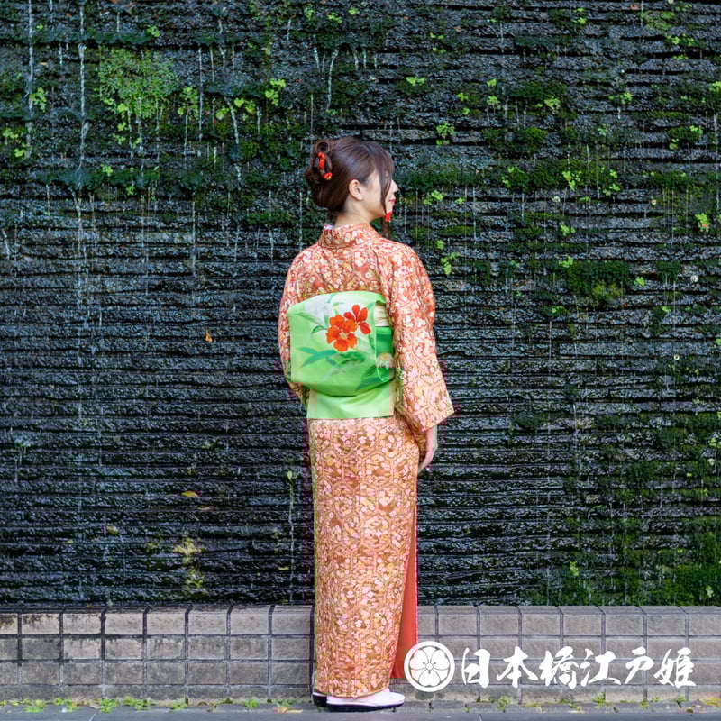 0355 小紋 優品 Aランク美品 正絹 袷 えんじ色 亀甲 菊 宝尽くし 梅