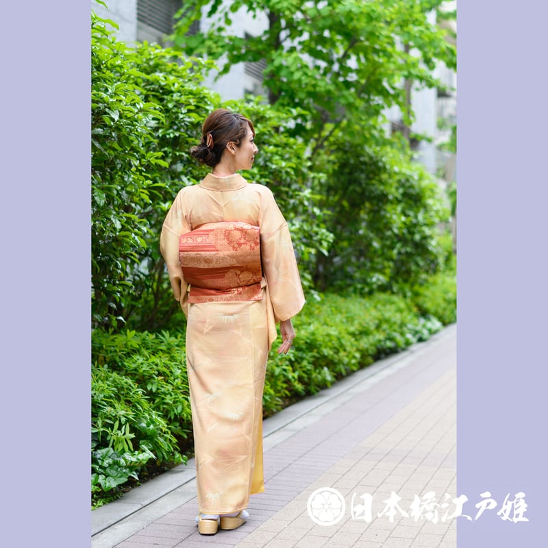 正絹 上質な小紋 干支柄 黄土色系 袷 易 