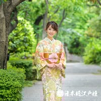 0283 名古屋帯 正絹 シルバー 銀パール箔 毘沙門亀甲 草花 六 0283 名古屋帯 正絹 シルバー 銀パール箔 毘沙門亀甲 草花 六