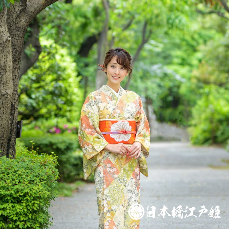 小紋正絹袷 小紋正絹袷