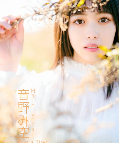 THE SOUTH OF SKY -君は羽ばたきの季節を待った-
