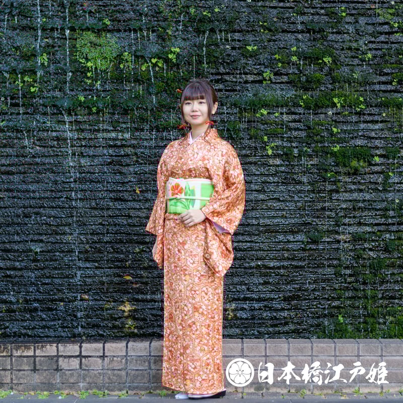 正絹小紋宝尽くし