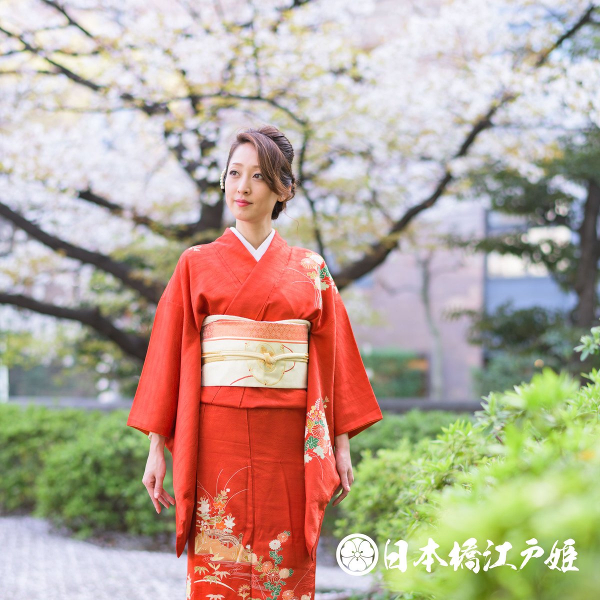 付け下げ桜木々華やか着物112a d 付け下げ桜木々華やか着物112a d