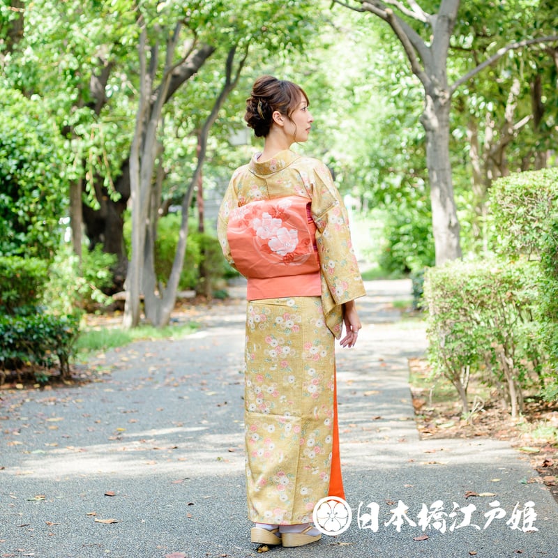 0294 小紋 名品 Aランク美品 正絹 袷 黄土色 菊 ぼかし 地紋 芝 身丈 