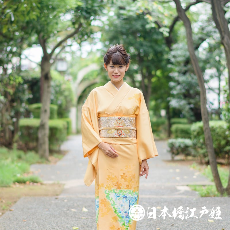 Hto285 付け下げ 作家物 正絹 金彩