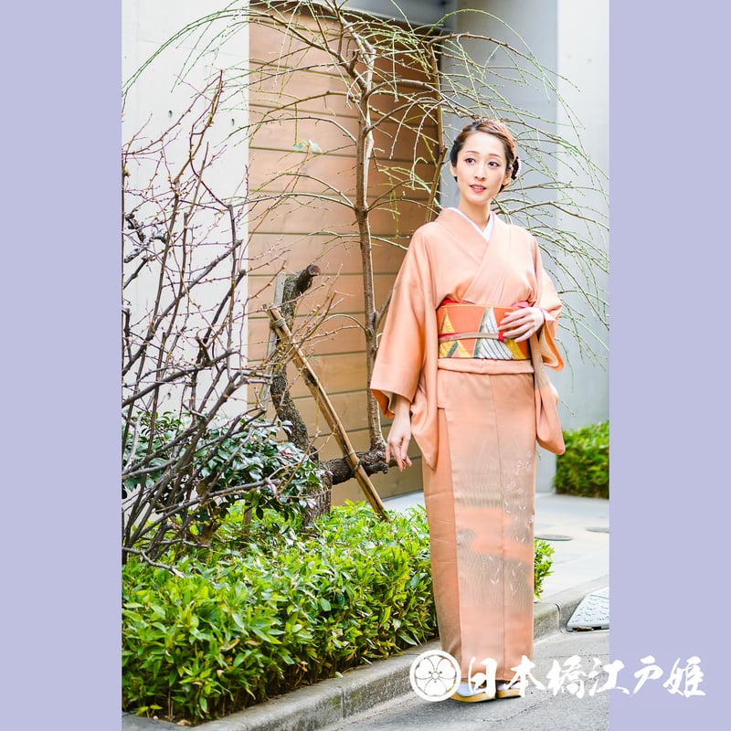 0101 優品 付け下げ 正絹 袷 | 日本橋江戸姫
