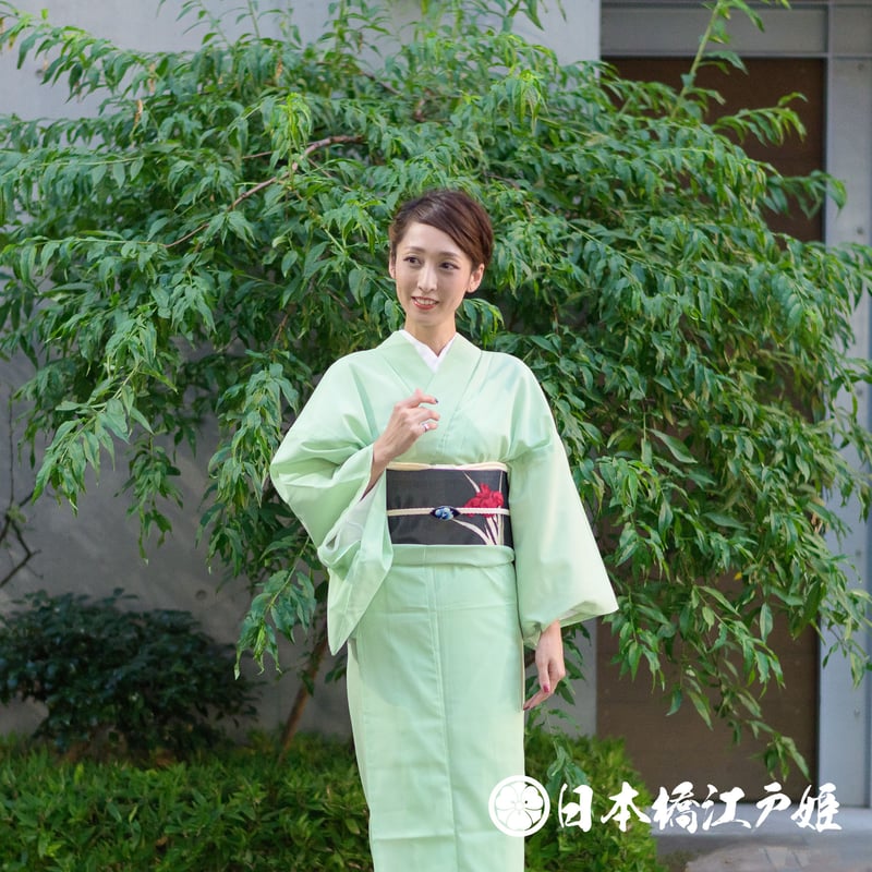 夏物豪華絢爛トールサイズ身丈168cm裄丈70cm絽ミント緑葡萄正絹小紋