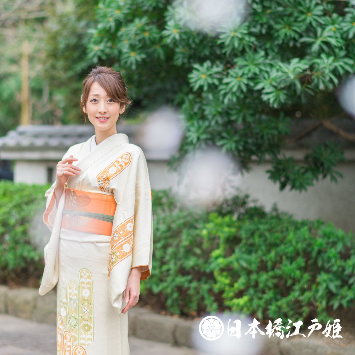 名古屋帯　格子　唐草　葡萄模様　名古屋帯　着物　035a p 名古屋帯 格子 唐草 葡萄模様 名古屋帯 着物 035a p 【公式通販】