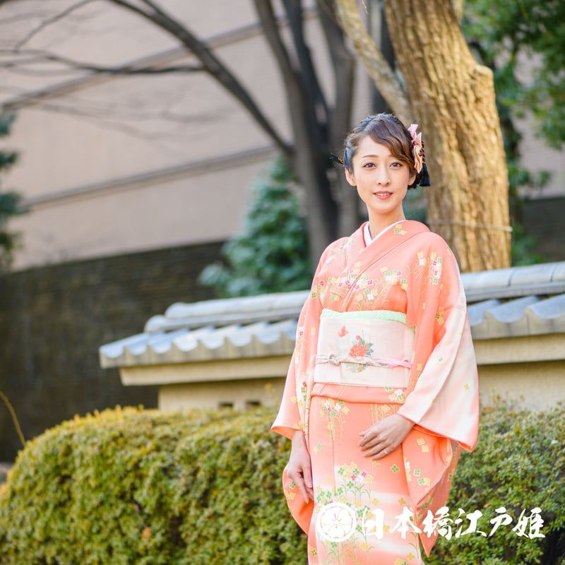 付け下げ 正絹 手書き 裄丈67センチ 紋無し 広衿 袷 着物 翼-209 付け下げ 正絹 手書き 裄丈67センチ 紋無し 広衿 袷 着物 翼-209