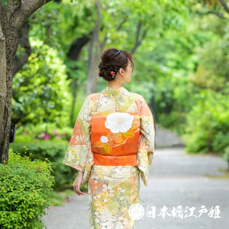 確認用♪ワンポイント刺繍入りの六通柄袋帯着物